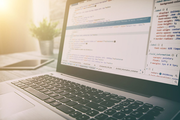 怎样建立自己的网站